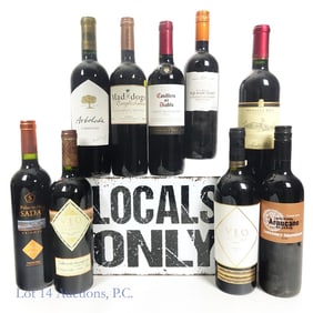 Wine Variety Lot, Chile & Spain (9) NO SHIPPING