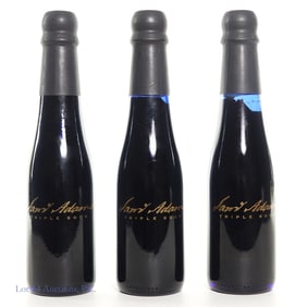 1995 Sam Adams Triple Bock (3)