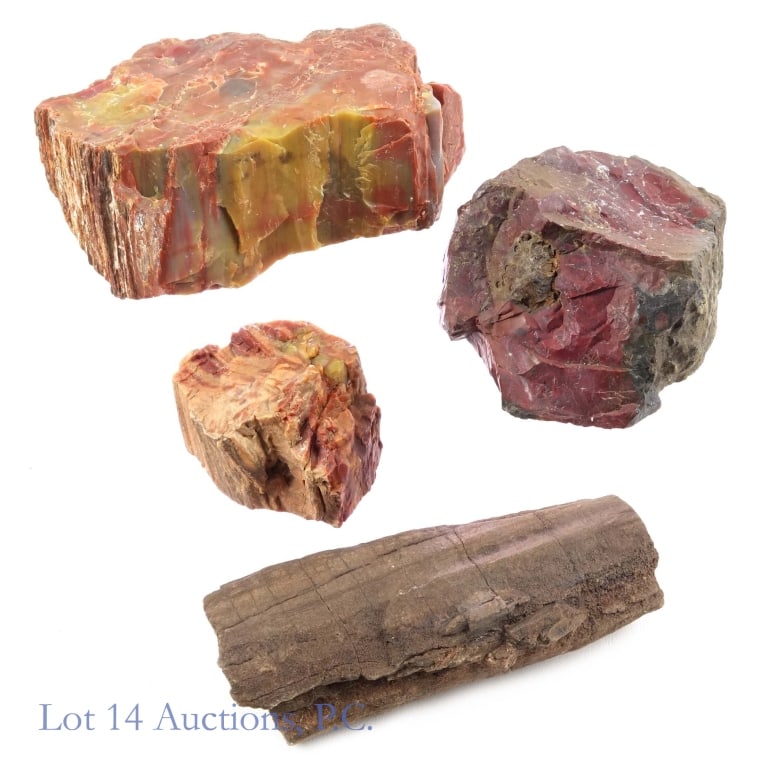 Group Of Petrified Wood And Jasper: Group of Petrified Wood and Jasper, three specimens of Petrified Wood , including one Arizona Triassic period, with a nicely colored Jasper specimen.