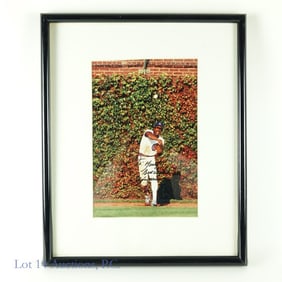 Andre Dawson Signed Framed Baseball Photo