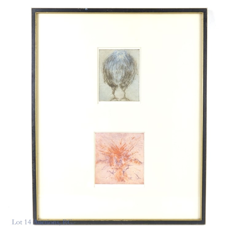 Peter Alexander Abstract Birds Prints: Two pieces by Peter Alexander framed together, both depicting birds in the abstract. Both are signed by the artist and numbered -- 9/15 and 8/15 respectively. Pieces have not been examined out of fram