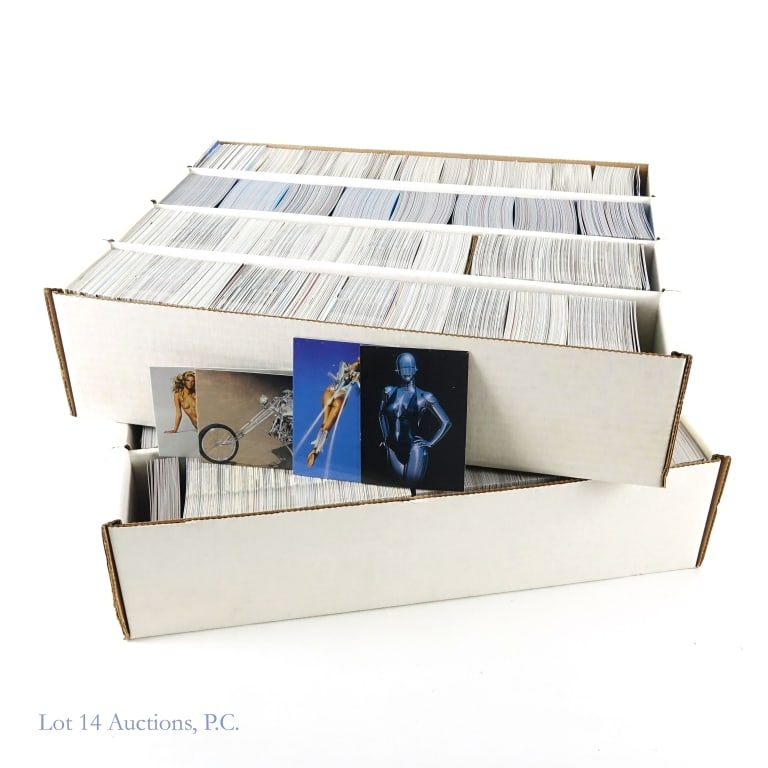 XXX Adult Fantasy Trading Cards Large Lot (1 of 4)