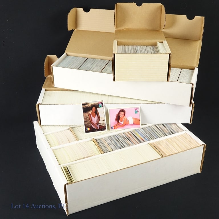 XXX Adult Cards, Swimwear, Hooters, More: XXX ADULT TRADING CARDS, MATURE AUDIENCES ONLY ****** 4-rox box, two (2) single-row boxes and one small box of adult trading cards - Endless Summer, Hooters, Swimwear Illustrated, Women Of The World.