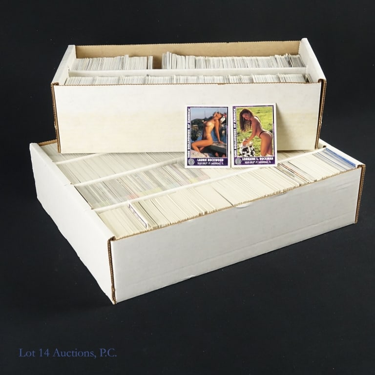 XXX Adult Cards Penthouse, Double Vision, More: XXX ADULT CARDS, MATURE AUDIENCES ONLY ****** One 4-row box and one (1) 2-row box of adult trading cards - Penthouse, Double Vision, Playboy, California Dreaming, Infinity Card, Thee Dollhouses Of Ame