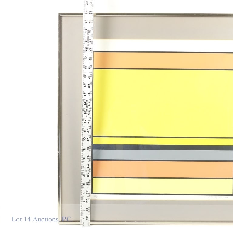 John Delulio Framed Geometric Print - 4