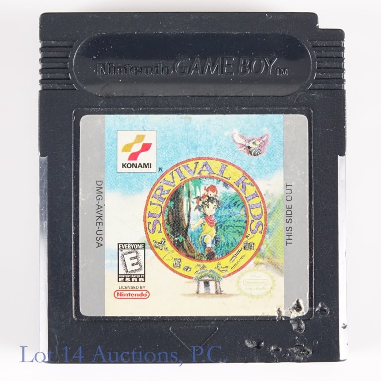 GameBoy Color Survival Kids Game Cartridge Rare (1 of 3)