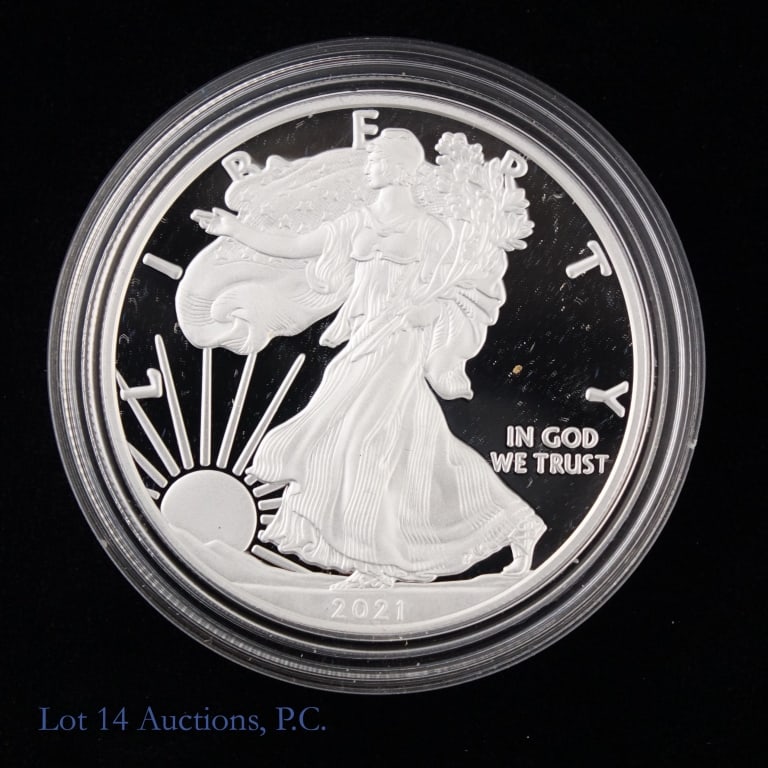 2021-W Proof American Silver Eagle Bullion $1 (1 of 4)
