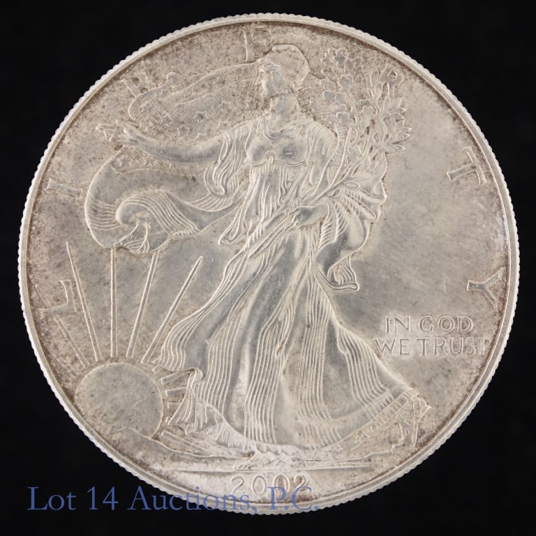 2002 (W) American Silver Eagle $1 Bullion Coin (1 of 2)