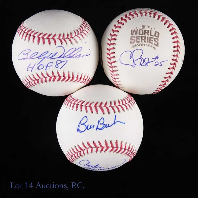 Chicago Cubs Signed Baseballs (14) - 8
