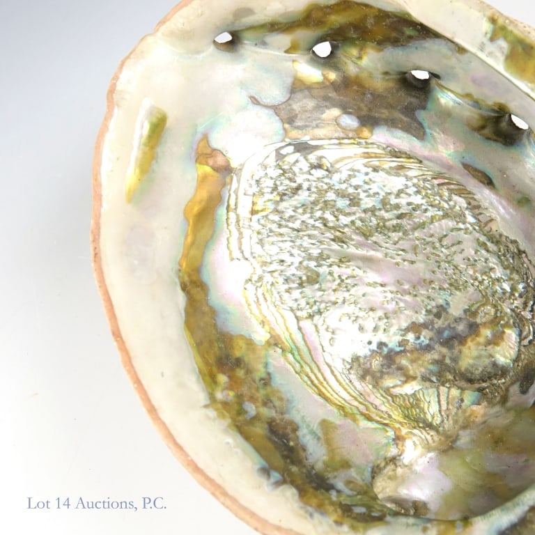Large Conch And Abalone Sea Shells (2+1) - 3