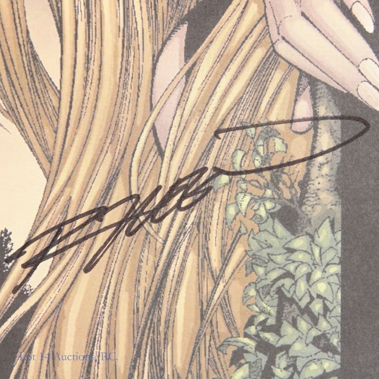 Darkchylde Comics, Many Signed, Image (+50) - 5