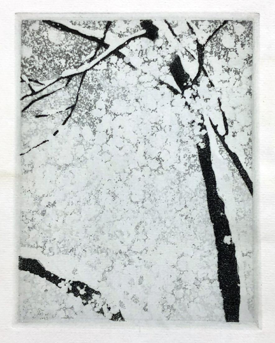 Vojtech Preissig original aquatint etching, 1929: Artist: Vojyech Preissig (Czech, 1873-1944) Title: snow Year: 1929 Medium: aquatint etching Image size: 5.9in X 4.6in Sheet size: 9.4in X 6.0in Unsigned, Unsigned, printed in blue and black on sti