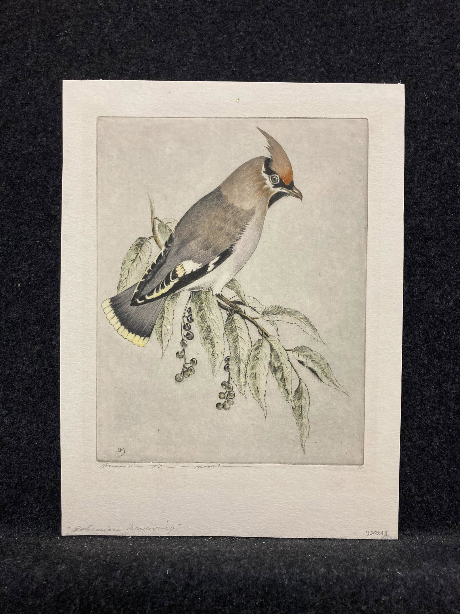 Artist: Benson Bond Moore (American, 1882-1974): Artist: Benson Bond Moore (American, 1882-1974) Title: Bohemian Waxwing Year: ca.1935 Medium: etching Image Size: 8.8 X 6.9 inches Sheet Size: 11.7 X 8.7 inches Description: Signe