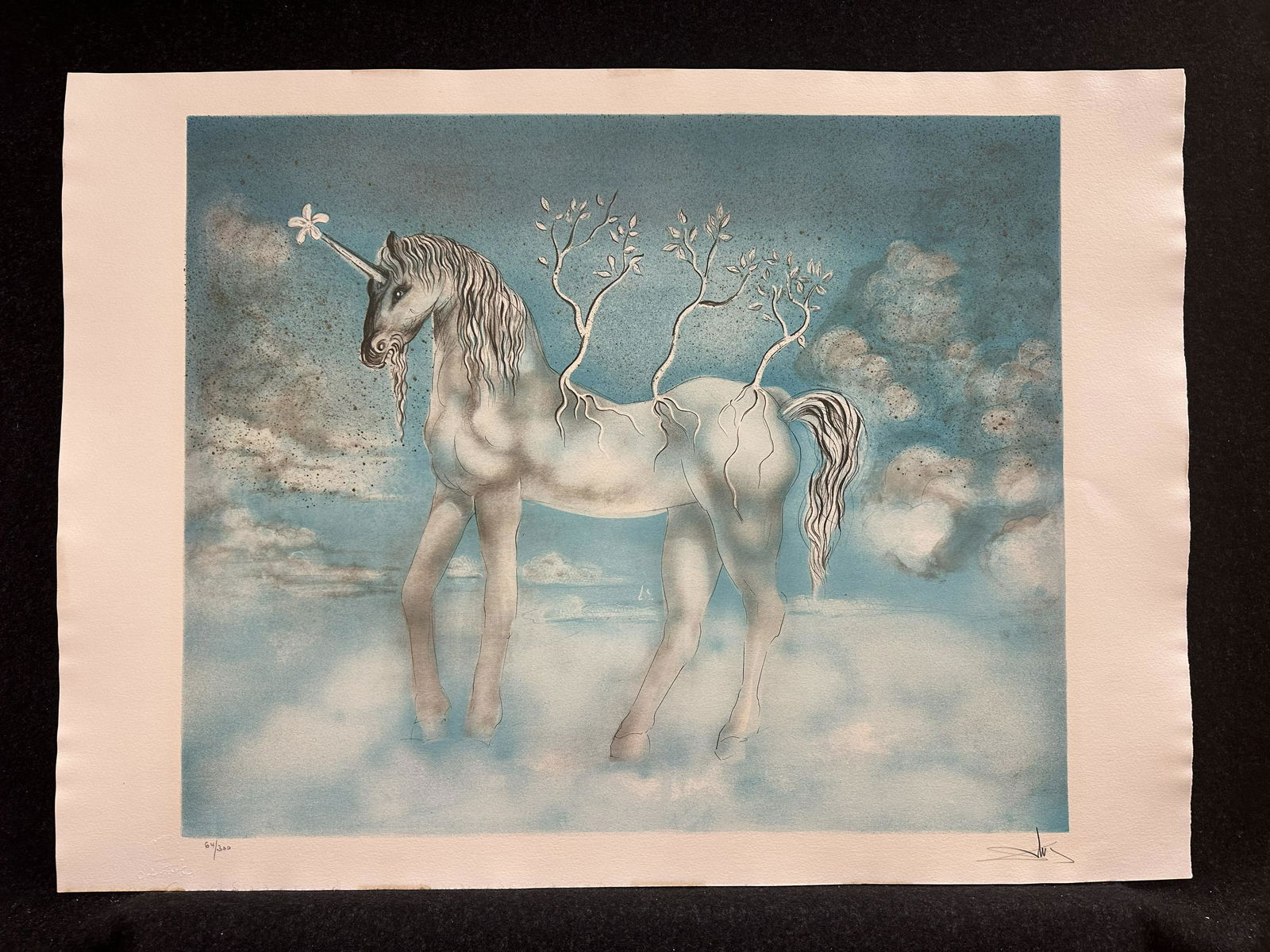 Salvador Dali pencil signed lithograph (1 of 5)