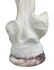 Guglielmo Pugi Marble Art Nouveau Dancer - 8