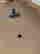 item-94085501=6