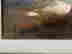 item-113212444=7