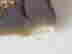 item-113212462=5
