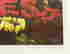item-113212499=6