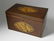 Partridge Wood Satinwood Shell Tea Caddy, 19th Cent.