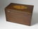 Partridge Wood Satinwood Shell Tea Caddy, 19th Cent. - 5