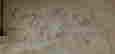 item-87629962=4