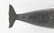 Clark Voorhees, Jr. Wood Hanging Full Bodied Whale - 3