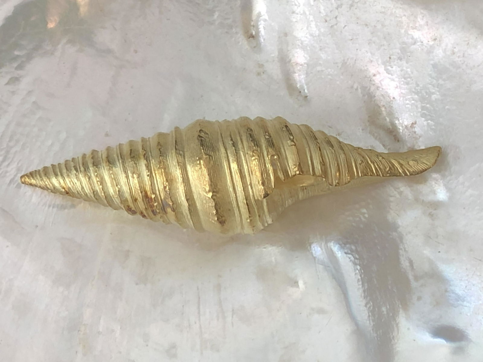 Tiffany & Co. 18k Yellow Gold Seashell Brooch (1 of 2)