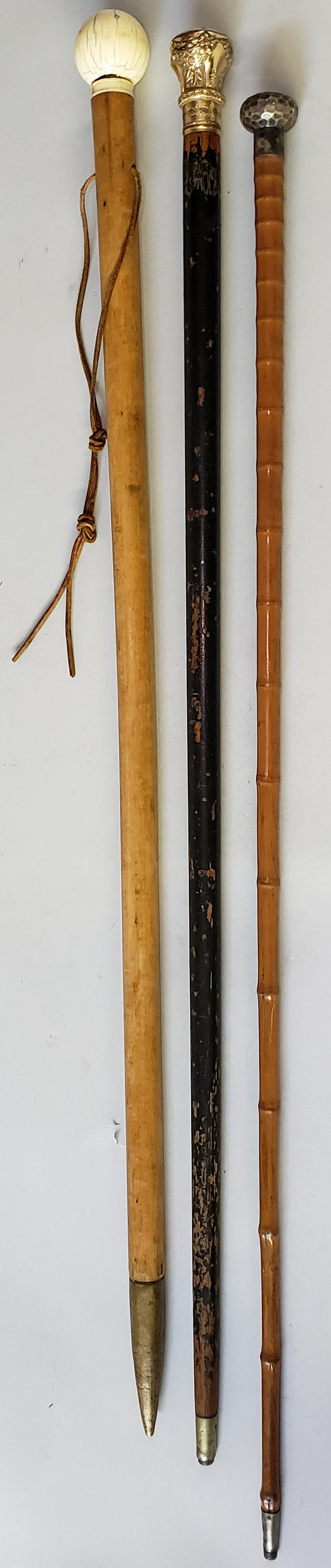 Collection of Three 19th Century Walking Sticks (1 of 6)