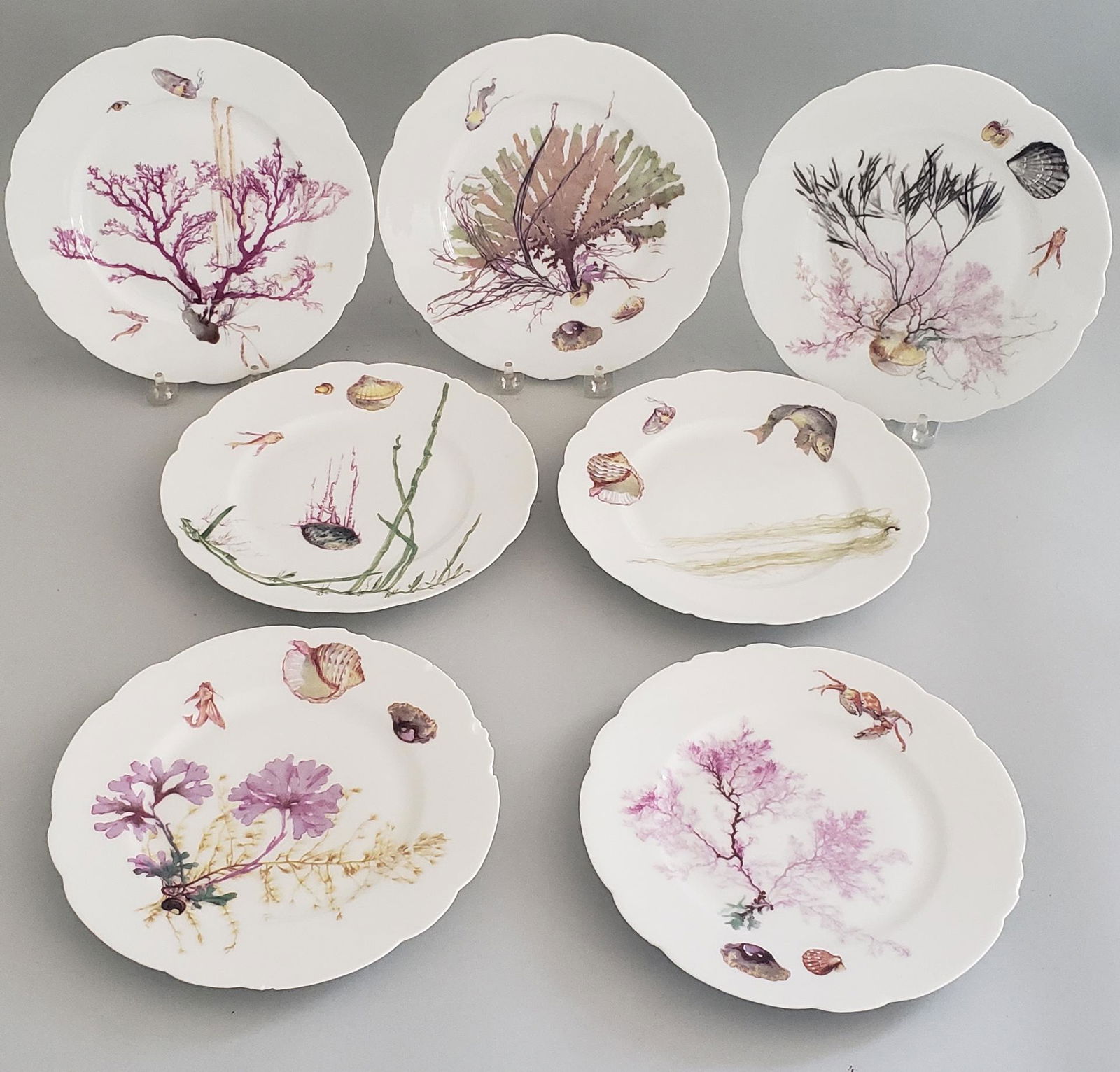Set of 7 Haviland Limoges Seaweed Plates, 19th Century (1 of 10)