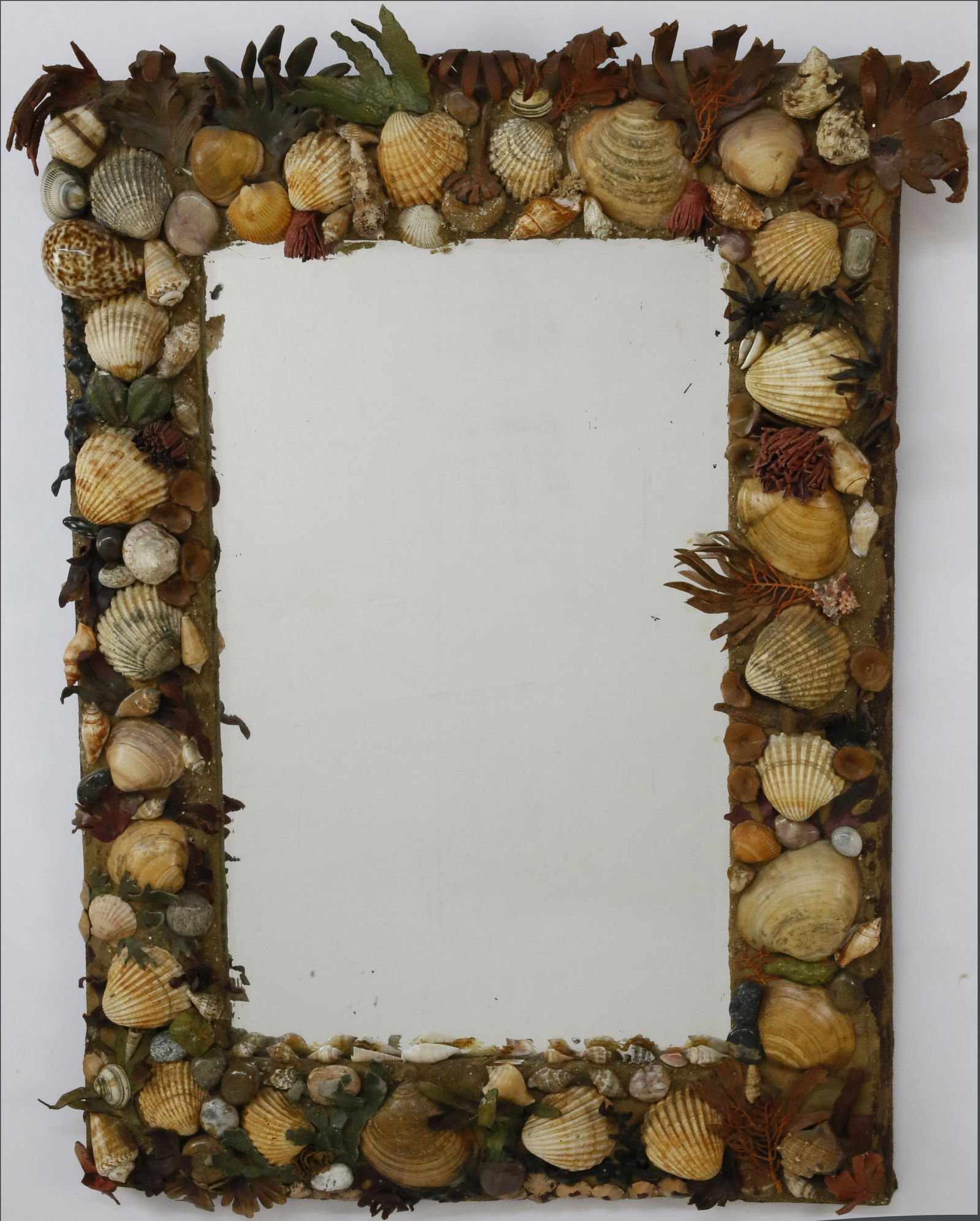 Shell Encrusted Mirror with Cut Leather Foliage and (1 of 5)