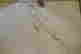 item-130036967=12