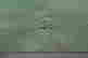 item-130036967=9