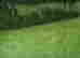 item-133688832=4