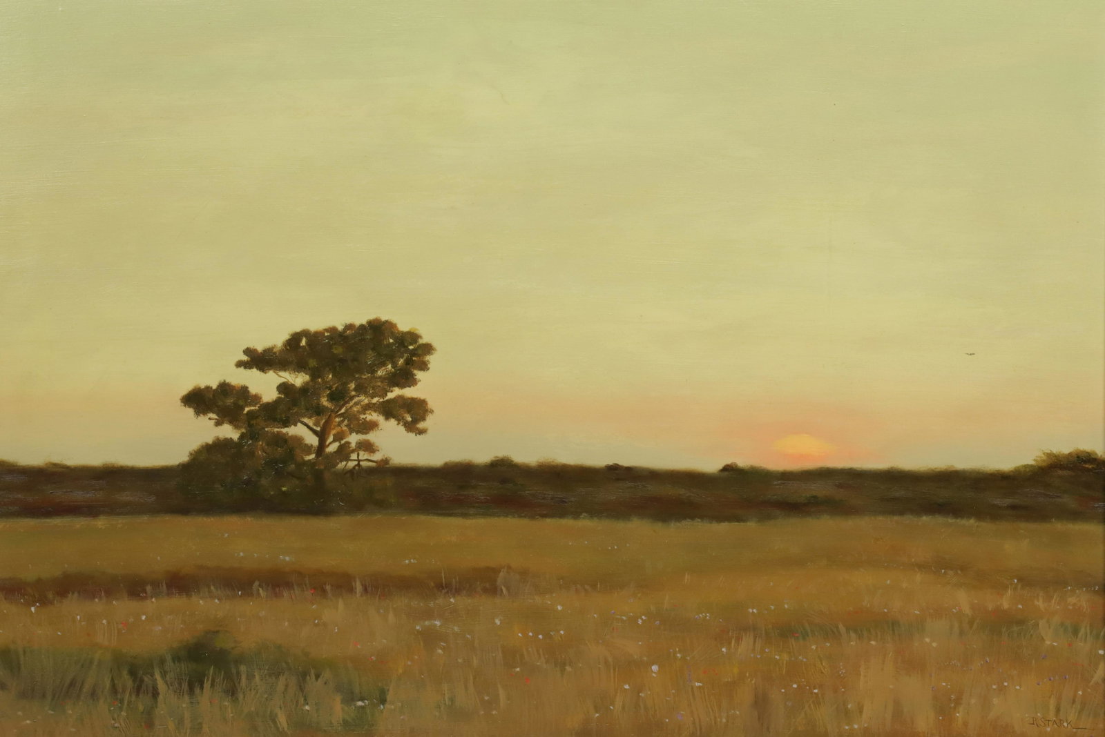 Robert Stark Jr. Oil on Board "Nantucket Sunset with Lone Tree and Green Fields": Robert Stark Jr. (1933-2014) Oil on Board "Nantucket Sunset with Lone Tree and Green Fields," signed lower right, R. Stark in gilded and ebonized molded wood frame 19.75 in. x 29 in. Framed 23.75 in.