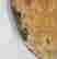 item-133689345=9