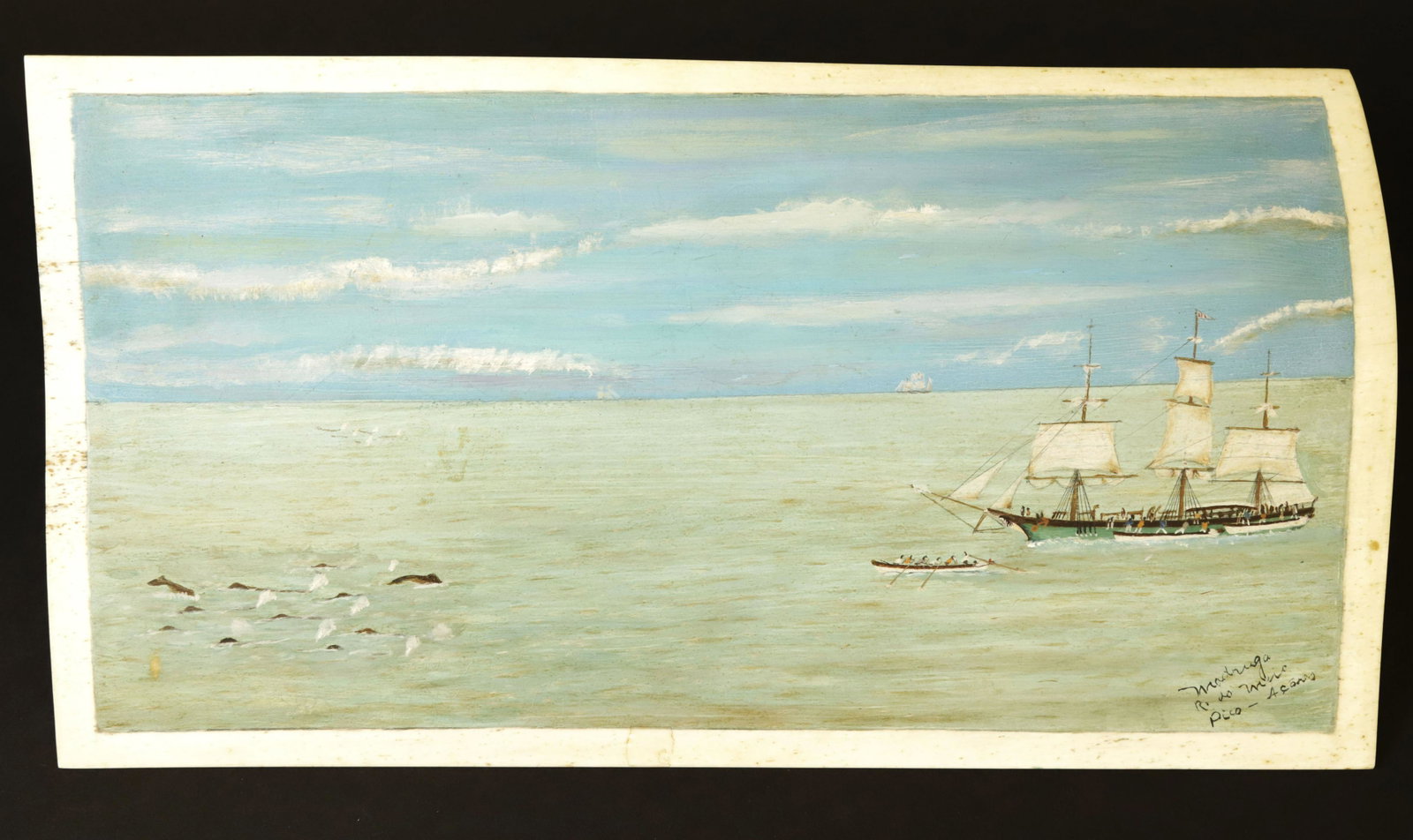 Manuel Joaquim Madruga Oil Painting on Whale Panbone, 1st quarter of the 20th Century: Manuel Joaquim Madruga (1893-1970) Oil Painting on Whale Panbone, 1st quarter of the 20th Century, a whaling bark frantically lowering 3 longboats about to set out after two pods of whales. Remarked l