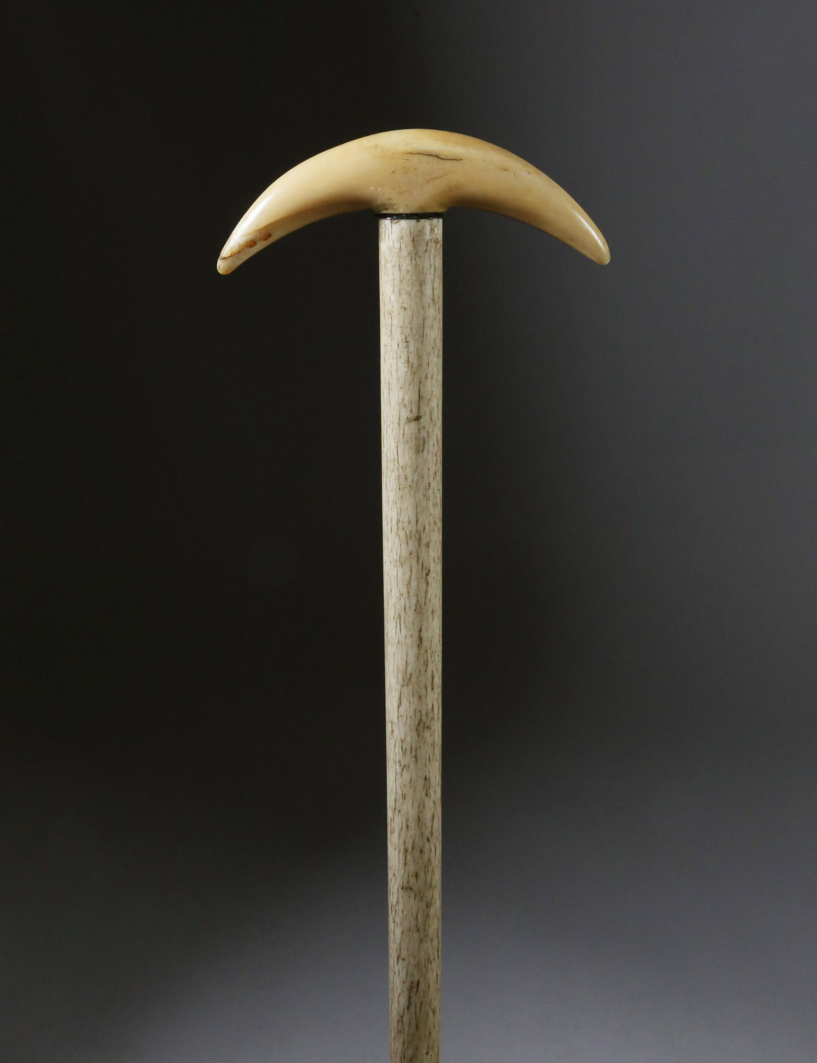 Whaleman Made "C" Grip Cane, circa 1850: Whaleman Made "C" Grip Cane, circa 1850, the grip of a shaped whale on a tapering whalebone shaft ending in a brass ferrule Length 31.75 in.