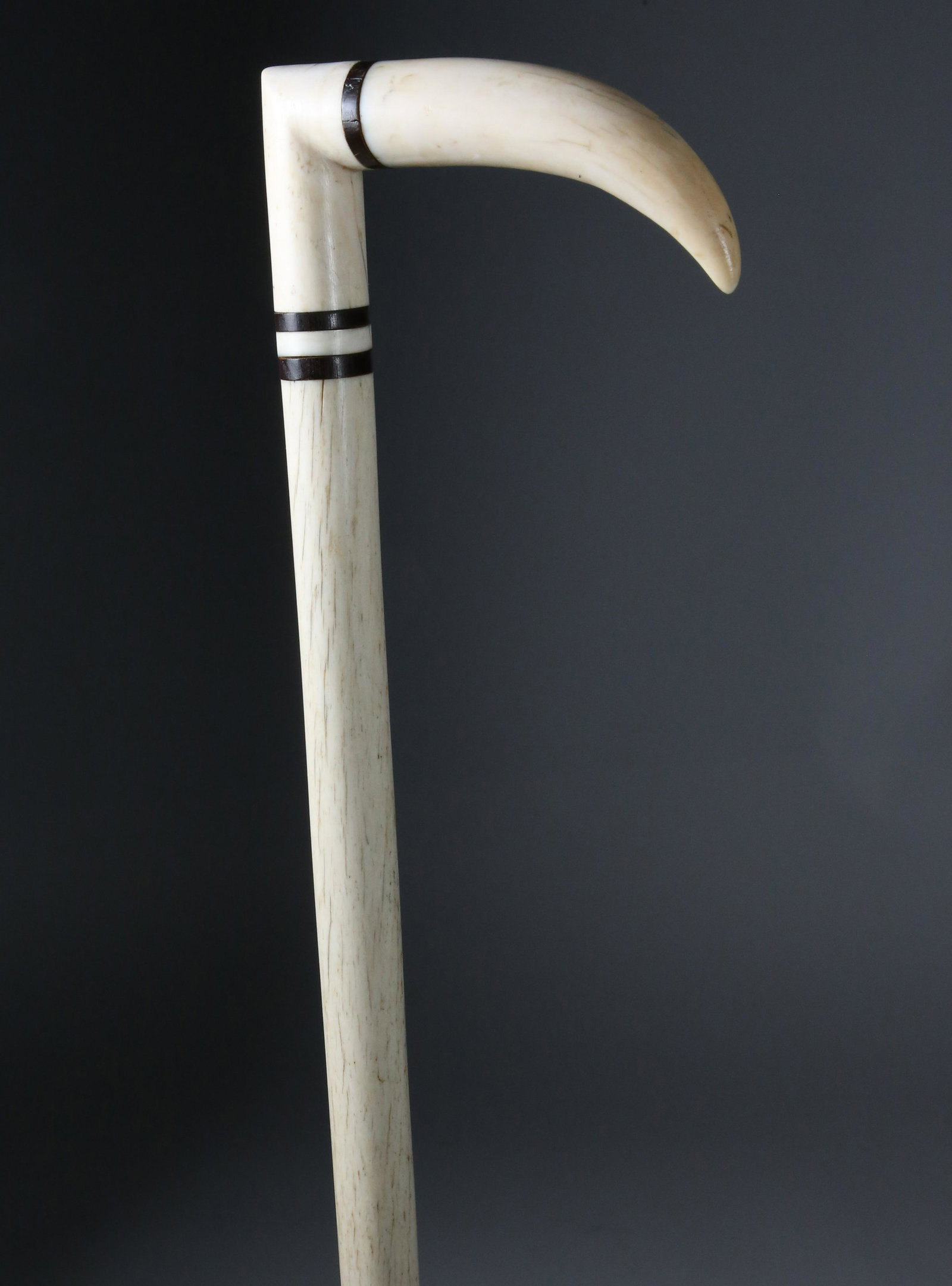 Whaleman Made "L" Grip Cane, circa 1860: Whaleman Made "L" Grip Cane, circa 1860, the grip carved of antique whale ivory with three baleen spacers on a bone tapering shaft ending in a silver ferrule Length 37.25 in.