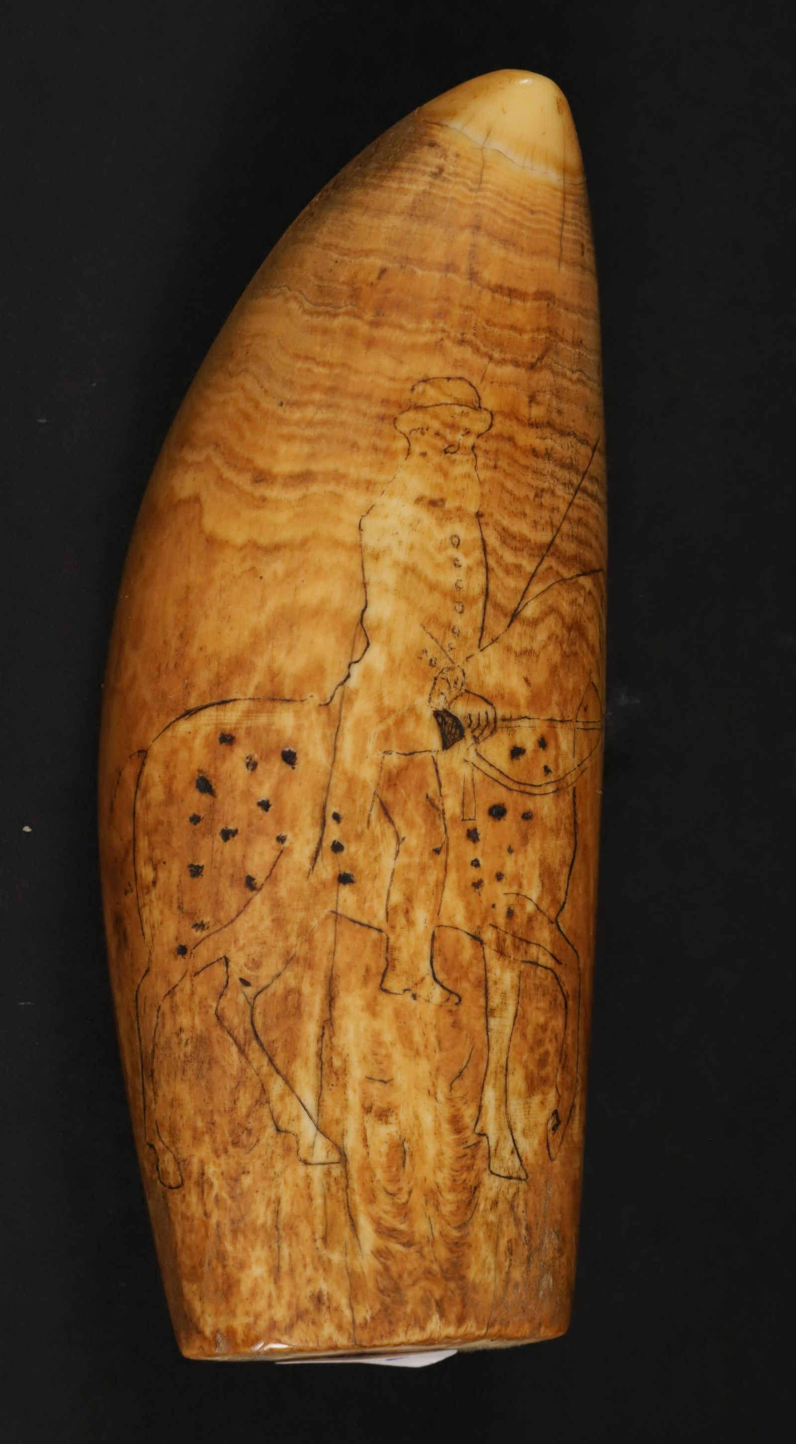 Scrimshaw Antique Sperm Whale Tooth, circa 1830: Scrimshaw Antique Sperm Whale Tooth, circa 1830, rider on a palomino horse, the reverse with a street musician with trumpet and drum, very dark patina Height 5 in. Width 2 in.
