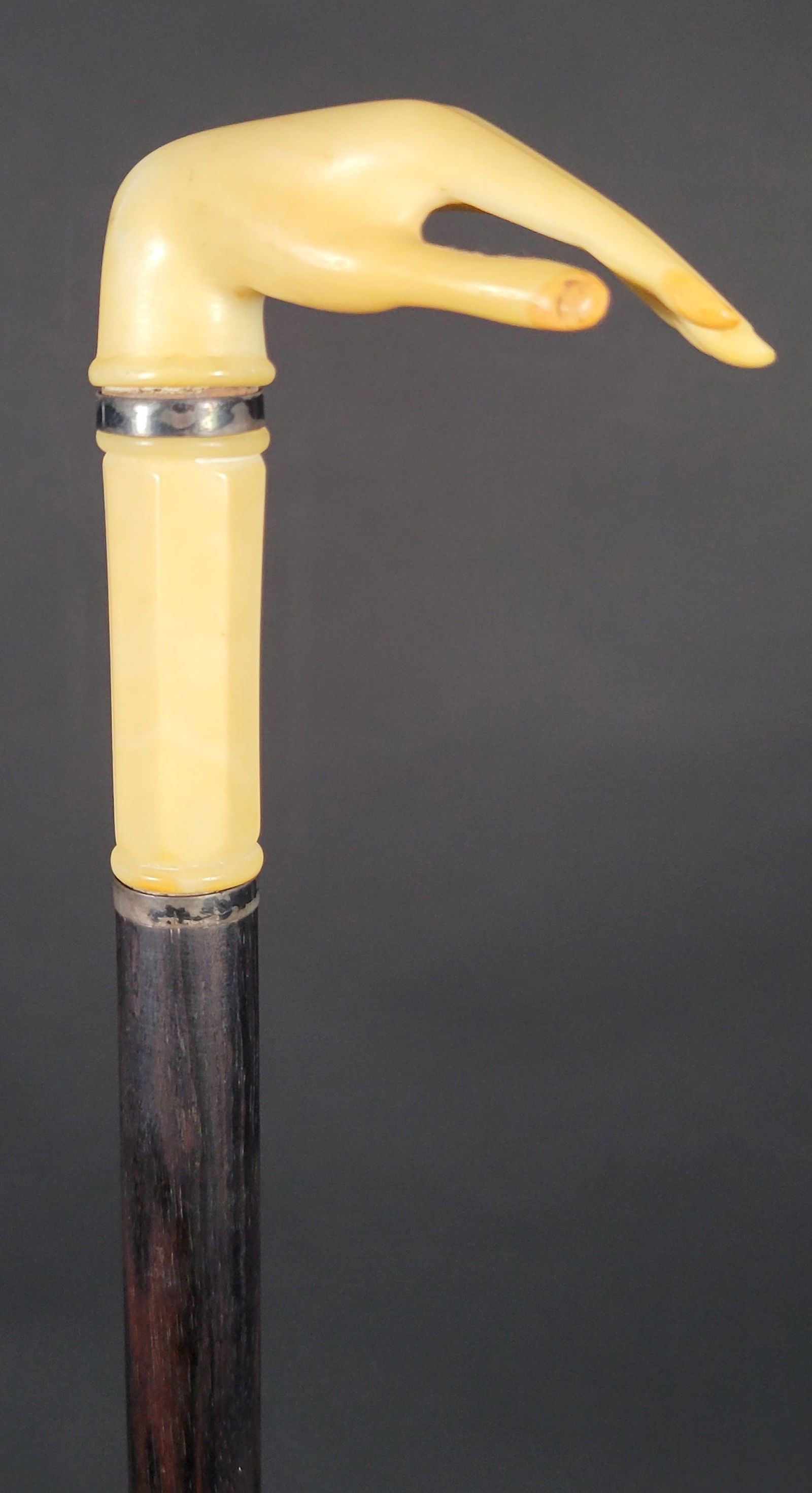 19th C. Sailor Made Whale Ivory and Ebony Ladies Walking Stick: 19th C. Sailor Made Whale Ivory and Ebony Ladies Walking Stick, circa 1850, with lifelike carved whale ivory hand handle separated by silver collars, on ebony wood shaft. Length 29.5 in.