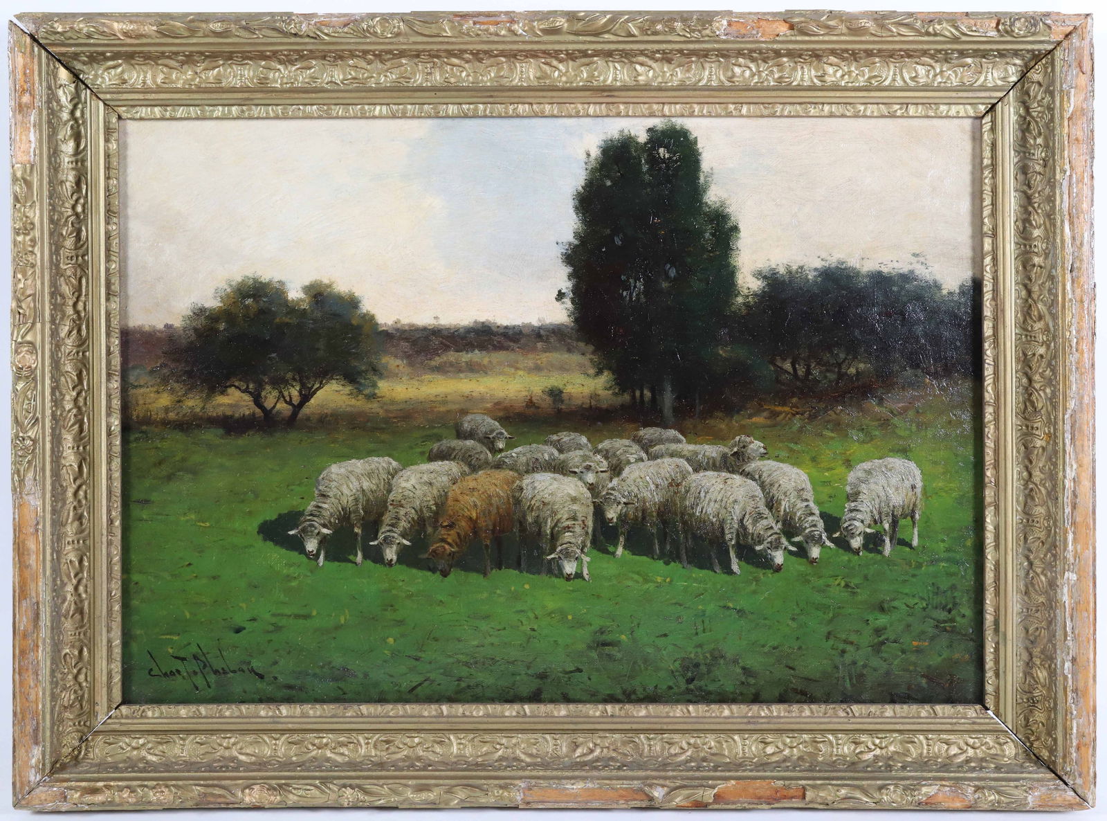 Charles T. Phelan Oil on Canvas "Herd of Sheep Grazing in Pastoral Landscape", 19th Century: Charles T. Phelan (1826-1892) Oil on Canvas "Herd of Sheep Grazing in Pastoral Landscape", 19th Century, signed lower left Chas. T. Phelan, in gilt frame in as found condition 13.5 in. x 19.5 in. Fram