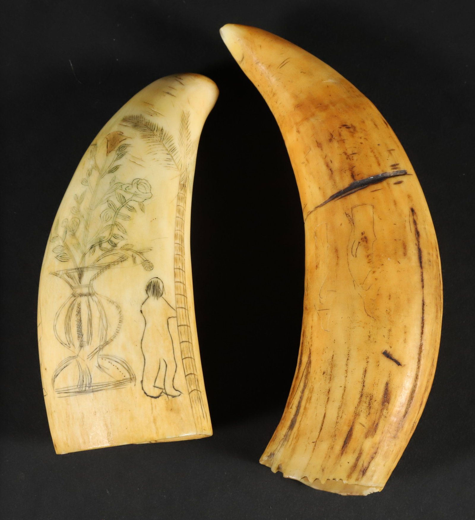 Two Antique Scrimshaw Sperm Whale Teeth, 19th Century: Two Antique Scrimshaw Sperm Whale Teeth, 19th Century, one depicting polychromed floral vase flanked by two figures with palm tree, accompanied by a rough tooth with faintly engraved sperm whale One T