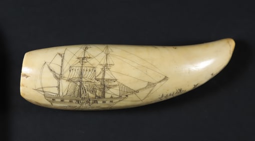 Antique Scrimshaw Whale Tooth, 19th Century