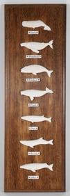 Michael Vienneau Carved Seven Whale Species Plaque