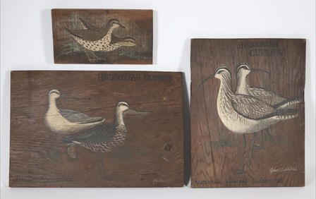 Three Scarce John Lochtefeld Shorebird Paintings on Wood Planks "Hudsonian Curlews and Hudsonian