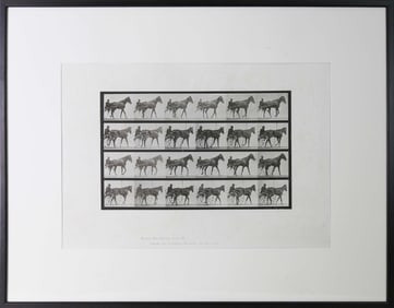 Animal Locomotion Plate 587 by Eadweard Muybridge Copyright 1887