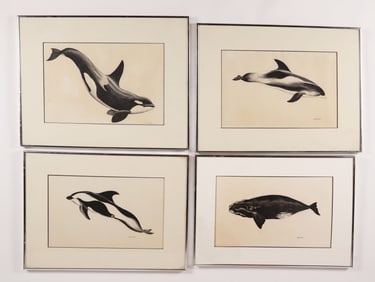 Collection of Four Mike Peterson Black and White Charcoal Drawings of Whales and Dolphins