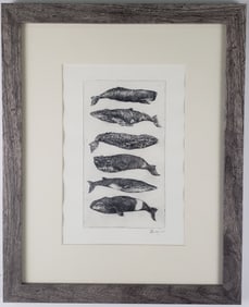 David Lazarus Black and White Etching 6 Whales