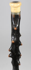 Large Antique Willow Branch Walking Stick, 19th Century